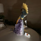 Large Hand - Carved Blue Onyx Cockatoo 11.3" Long on an Amethyst Cluster #3005 - BXCAM - 044 - Brazil GemsBrazil GemsLarge Hand - Carved Blue Onyx Cockatoo 11.3" Long on an Amethyst Cluster #3005 - BXCAM - 044Crystal Birds3005 - BXCAM - 044