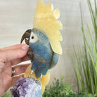 Large Hand - Carved Blue Onyx Cockatoo 11.3" Long on an Amethyst Cluster #3005 - BXCAM - 044 - Brazil GemsBrazil GemsLarge Hand - Carved Blue Onyx Cockatoo 11.3" Long on an Amethyst Cluster #3005 - BXCAM - 044Crystal Birds3005 - BXCAM - 044