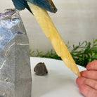 Large Hand - Carved Blue Onyx Cockatoo 11.3" Long on an Amethyst Cluster #3005 - BXCAM - 044 - Brazil GemsBrazil GemsLarge Hand - Carved Blue Onyx Cockatoo 11.3" Long on an Amethyst Cluster #3005 - BXCAM - 044Crystal Birds3005 - BXCAM - 044