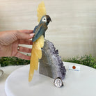Large Hand - Carved Blue Onyx Cockatoo 11.3" Long on an Amethyst Cluster #3005 - BXCAM - 044 - Brazil GemsBrazil GemsLarge Hand - Carved Blue Onyx Cockatoo 11.3" Long on an Amethyst Cluster #3005 - BXCAM - 044Crystal Birds3005 - BXCAM - 044