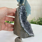 Large Hand - Carved Blue Onyx Owl 7" Long on an Amethyst Cluster #3005 - BXOAM - 047 - Brazil GemsBrazil GemsLarge Hand - Carved Blue Onyx Owl 7" Long on an Amethyst Cluster #3005 - BXOAM - 047Crystal Birds3005 - BXOAM - 047