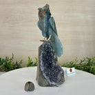 Large Hand - Carved Blue Onyx Owl 7" Long on an Amethyst Cluster #3005 - BXOAM - 047 - Brazil GemsBrazil GemsLarge Hand - Carved Blue Onyx Owl 7" Long on an Amethyst Cluster #3005 - BXOAM - 047Crystal Birds3005 - BXOAM - 047