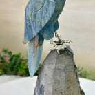 Large Hand - Carved Blue Onyx Owl 7" Long on an Amethyst Cluster #3005 - BXOAM - 047 - Brazil GemsBrazil GemsLarge Hand - Carved Blue Onyx Owl 7" Long on an Amethyst Cluster #3005 - BXOAM - 047Crystal Birds3005 - BXOAM - 047