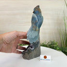 Large Hand - Carved Blue Onyx Owl 7" Long on an Amethyst Cluster #3005 - BXOAM - 047 - Brazil GemsBrazil GemsLarge Hand - Carved Blue Onyx Owl 7" Long on an Amethyst Cluster #3005 - BXOAM - 047Crystal Birds3005 - BXOAM - 047