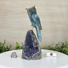 Large Hand - Carved Blue Onyx Owl 7" Long on an Amethyst Cluster #3005 - BXOAM - 047 - Brazil GemsBrazil GemsLarge Hand - Carved Blue Onyx Owl 7" Long on an Amethyst Cluster #3005 - BXOAM - 047Crystal Birds3005 - BXOAM - 047