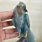 Large Hand - Carved Blue Onyx Owl 7" Long on an Amethyst Cluster #3005 - BXOAM - 047 - Brazil GemsBrazil GemsLarge Hand - Carved Blue Onyx Owl 7" Long on an Amethyst Cluster #3005 - BXOAM - 047Crystal Birds3005 - BXOAM - 047