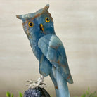 Large Hand - Carved Blue Onyx Owl 7" Long on an Amethyst Cluster #3005 - BXOAM - 047 - Brazil GemsBrazil GemsLarge Hand - Carved Blue Onyx Owl 7" Long on an Amethyst Cluster #3005 - BXOAM - 047Crystal Birds3005 - BXOAM - 047