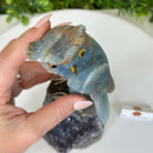 Large Hand - Carved Blue Onyx Owl 7" Long on an Amethyst Cluster #3005 - BXOAM - 047 - Brazil GemsBrazil GemsLarge Hand - Carved Blue Onyx Owl 7" Long on an Amethyst Cluster #3005 - BXOAM - 047Crystal Birds3005 - BXOAM - 047