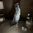 Large Hand - Carved Blue Onyx Owl 7" Long on an Amethyst Cluster #3005 - BXOAM - 047 - Brazil GemsBrazil GemsLarge Hand - Carved Blue Onyx Owl 7" Long on an Amethyst Cluster #3005 - BXOAM - 047Crystal Birds3005 - BXOAM - 047