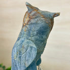 Large Hand - Carved Blue Onyx Owl 7" Long on an Amethyst Cluster #3005 - BXOAM - 047 - Brazil GemsBrazil GemsLarge Hand - Carved Blue Onyx Owl 7" Long on an Amethyst Cluster #3005 - BXOAM - 047Crystal Birds3005 - BXOAM - 047