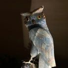 Large Hand - Carved Blue Onyx Owl 7" Long on an Amethyst Cluster #3005 - BXOAM - 047 - Brazil GemsBrazil GemsLarge Hand - Carved Blue Onyx Owl 7" Long on an Amethyst Cluster #3005 - BXOAM - 047Crystal Birds3005 - BXOAM - 047