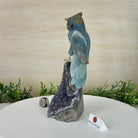 Large Hand - Carved Blue Onyx Owl 7" Long on an Amethyst Cluster #3005 - BXOAM - 047 - Brazil GemsBrazil GemsLarge Hand - Carved Blue Onyx Owl 7" Long on an Amethyst Cluster #3005 - BXOAM - 047Crystal Birds3005 - BXOAM - 047