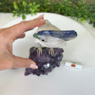 Large Hand - Carved Clear Quartz Cockatoo 10.3" Long on an Amethyst Cluster #3005 - CQCAM - 043 - Brazil GemsBrazil GemsLarge Hand - Carved Clear Quartz Cockatoo 10.3" Long on an Amethyst Cluster #3005 - CQCAM - 043Crystal Birds3005 - CQCAM - 043