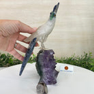 Large Hand - Carved Clear Quartz Cockatoo 10.3" Long on an Amethyst Cluster #3005 - CQCAM - 043 - Brazil GemsBrazil GemsLarge Hand - Carved Clear Quartz Cockatoo 10.3" Long on an Amethyst Cluster #3005 - CQCAM - 043Crystal Birds3005 - CQCAM - 043