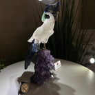 Large Hand - Carved Clear Quartz Cockatoo 10.3" Long on an Amethyst Cluster #3005 - CQCAM - 043 - Brazil GemsBrazil GemsLarge Hand - Carved Clear Quartz Cockatoo 10.3" Long on an Amethyst Cluster #3005 - CQCAM - 043Crystal Birds3005 - CQCAM - 043