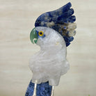 Large Hand - Carved Clear Quartz Cockatoo 10.3" Long on an Amethyst Cluster #3005 - CQCAM - 043 - Brazil GemsBrazil GemsLarge Hand - Carved Clear Quartz Cockatoo 10.3" Long on an Amethyst Cluster #3005 - CQCAM - 043Crystal Birds3005 - CQCAM - 043