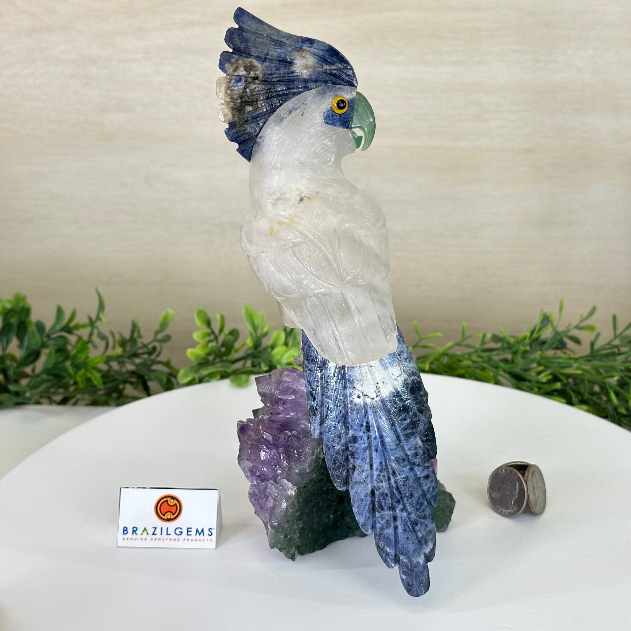 Large Hand - Carved Clear Quartz Cockatoo 10.3" Long on an Amethyst Cluster #3005 - CQCAM - 043 - Brazil GemsBrazil GemsLarge Hand - Carved Clear Quartz Cockatoo 10.3" Long on an Amethyst Cluster #3005 - CQCAM - 043Crystal Birds3005 - CQCAM - 043