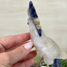 Large Hand - Carved Clear Quartz Cockatoo 10.3" Long on an Amethyst Cluster #3005 - CQCAM - 043 - Brazil GemsBrazil GemsLarge Hand - Carved Clear Quartz Cockatoo 10.3" Long on an Amethyst Cluster #3005 - CQCAM - 043Crystal Birds3005 - CQCAM - 043