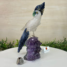 Large Hand - Carved Clear Quartz Cockatoo 10.3" Long on an Amethyst Cluster #3005 - CQCAM - 043 - Brazil GemsBrazil GemsLarge Hand - Carved Clear Quartz Cockatoo 10.3" Long on an Amethyst Cluster #3005 - CQCAM - 043Crystal Birds3005 - CQCAM - 043