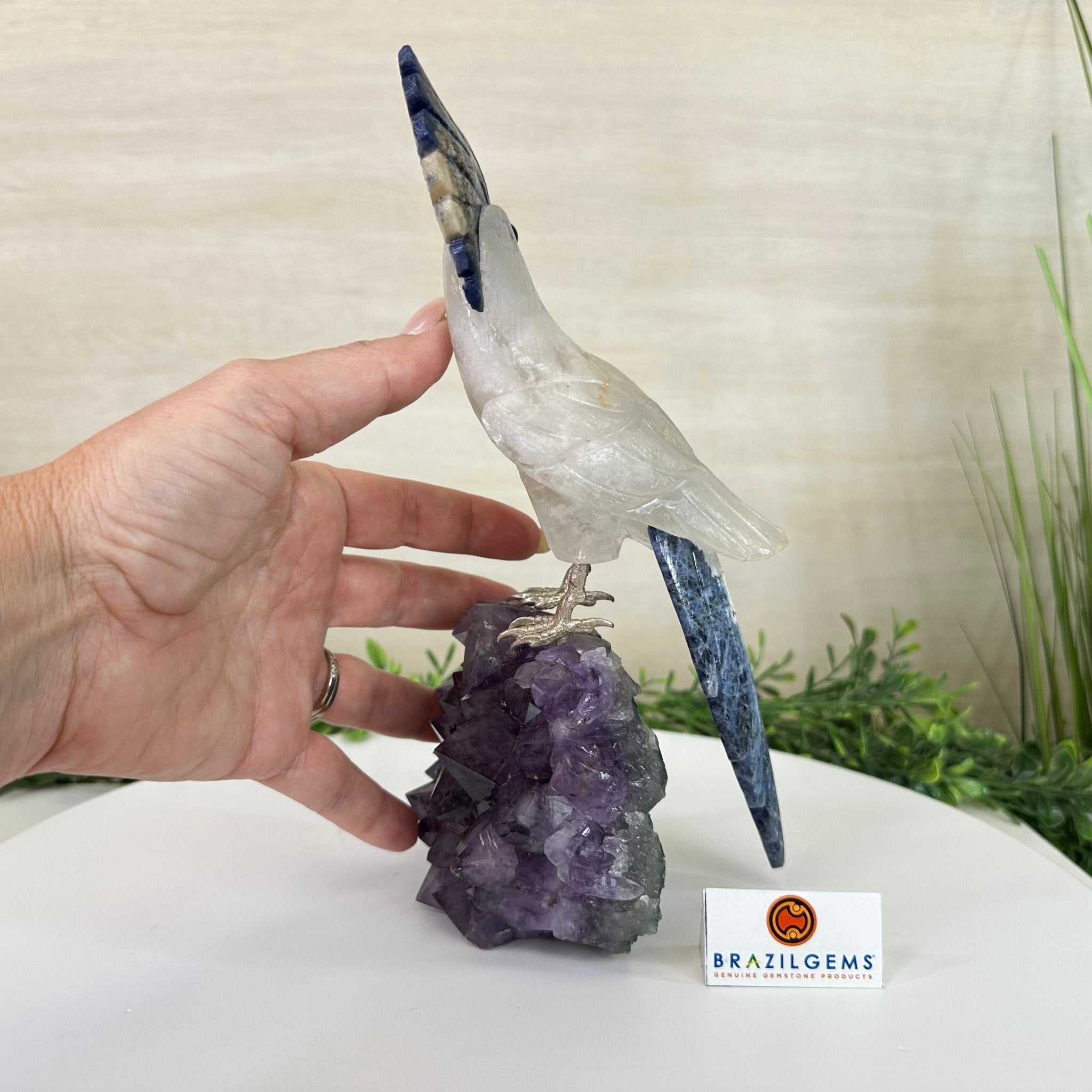 Large Hand - Carved Clear Quartz Cockatoo 10.3" Long on an Amethyst Cluster #3005 - CQCAM - 043 - Brazil GemsBrazil GemsLarge Hand - Carved Clear Quartz Cockatoo 10.3" Long on an Amethyst Cluster #3005 - CQCAM - 043Crystal Birds3005 - CQCAM - 043