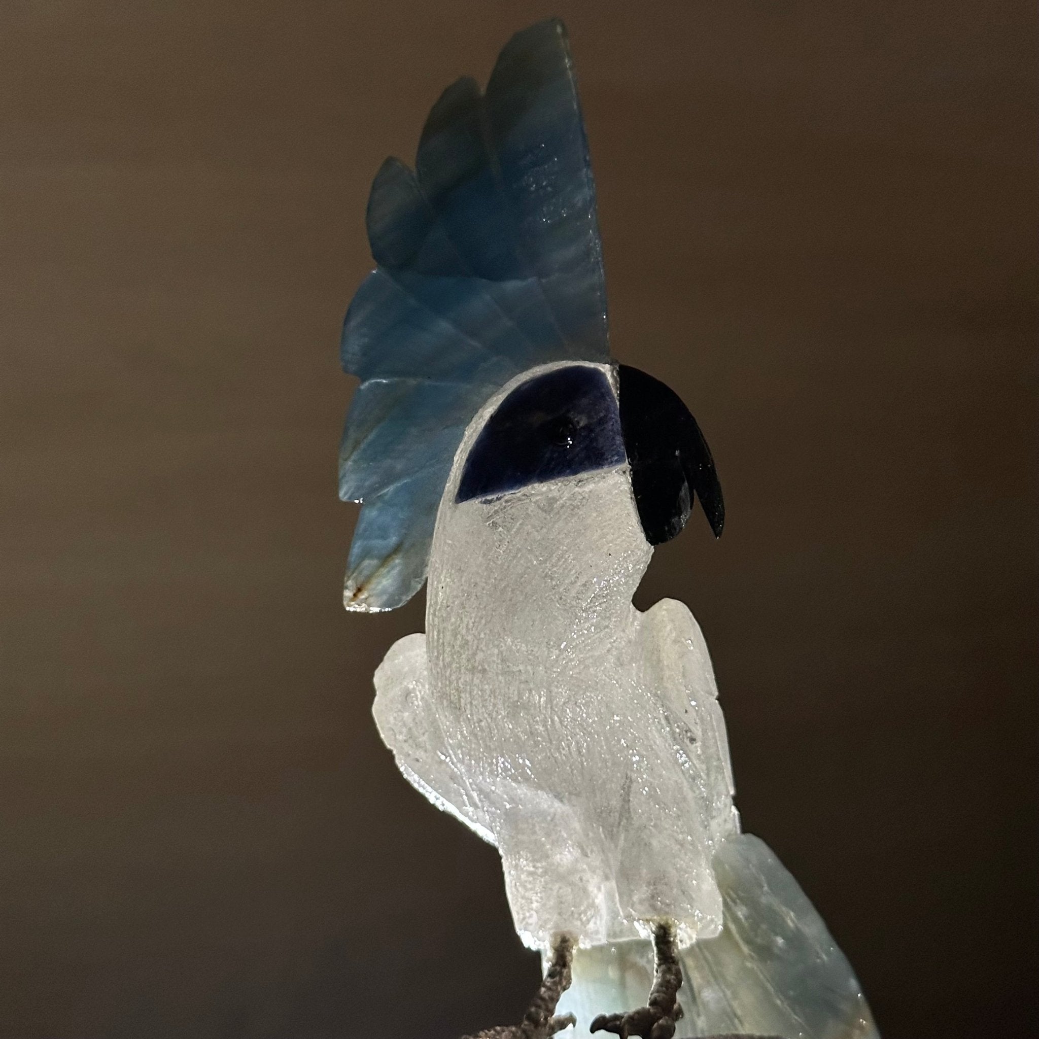 Large Hand - Carved Clear Quartz Cockatoo 9.7" Long on an Amethyst Cluster #3004 - CQCAM - 056 - Brazil GemsBrazil GemsLarge Hand - Carved Clear Quartz Cockatoo 9.7" Long on an Amethyst Cluster #3004 - CQCAM - 056Crystal Birds3004 - CQCAM - 056