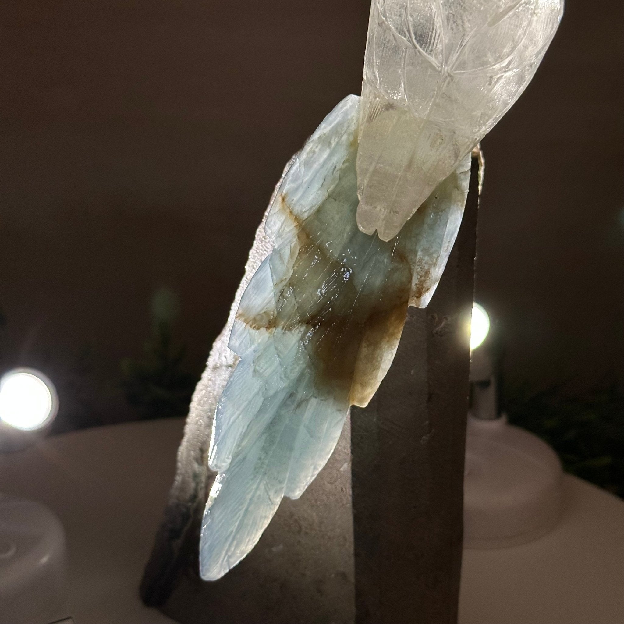 Large Hand - Carved Clear Quartz Cockatoo 9.7" Long on an Amethyst Cluster #3004 - CQCAM - 056 - Brazil GemsBrazil GemsLarge Hand - Carved Clear Quartz Cockatoo 9.7" Long on an Amethyst Cluster #3004 - CQCAM - 056Crystal Birds3004 - CQCAM - 056