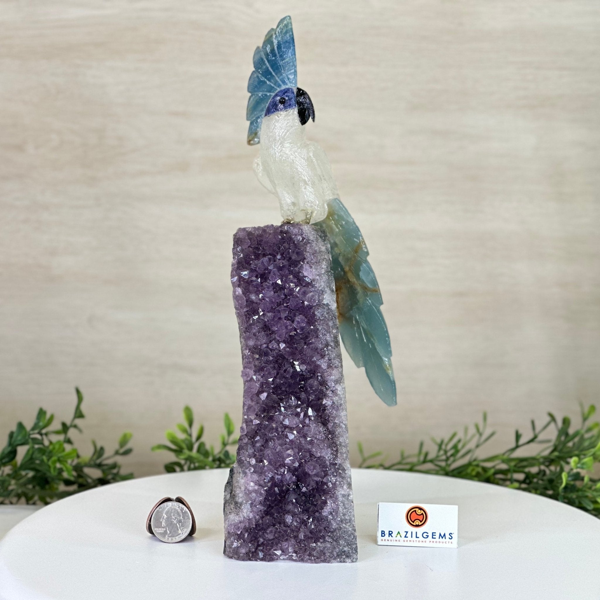 Large Hand - Carved Clear Quartz Cockatoo 9.7" Long on an Amethyst Cluster #3004 - CQCAM - 056 - Brazil GemsBrazil GemsLarge Hand - Carved Clear Quartz Cockatoo 9.7" Long on an Amethyst Cluster #3004 - CQCAM - 056Crystal Birds3004 - CQCAM - 056