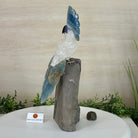 Large Hand - Carved Clear Quartz Cockatoo 9.7" Long on an Amethyst Cluster #3004 - CQCAM - 056 - Brazil GemsBrazil GemsLarge Hand - Carved Clear Quartz Cockatoo 9.7" Long on an Amethyst Cluster #3004 - CQCAM - 056Crystal Birds3004 - CQCAM - 056