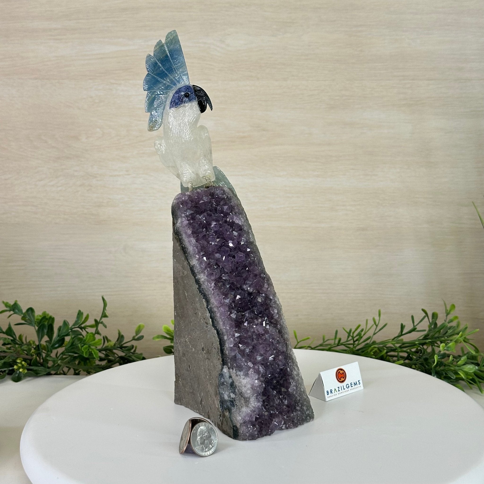 Large Hand - Carved Clear Quartz Cockatoo 9.7" Long on an Amethyst Cluster #3004 - CQCAM - 056 - Brazil GemsBrazil GemsLarge Hand - Carved Clear Quartz Cockatoo 9.7" Long on an Amethyst Cluster #3004 - CQCAM - 056Crystal Birds3004 - CQCAM - 056