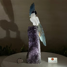 Large Hand - Carved Clear Quartz Cockatoo 9.7" Long on an Amethyst Cluster #3004 - CQCAM - 056 - Brazil GemsBrazil GemsLarge Hand - Carved Clear Quartz Cockatoo 9.7" Long on an Amethyst Cluster #3004 - CQCAM - 056Crystal Birds3004 - CQCAM - 056