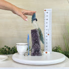 Large Hand - Carved Clear Quartz Cockatoo 9.7" Long on an Amethyst Cluster #3004 - CQCAM - 056 - Brazil GemsBrazil GemsLarge Hand - Carved Clear Quartz Cockatoo 9.7" Long on an Amethyst Cluster #3004 - CQCAM - 056Crystal Birds3004 - CQCAM - 056