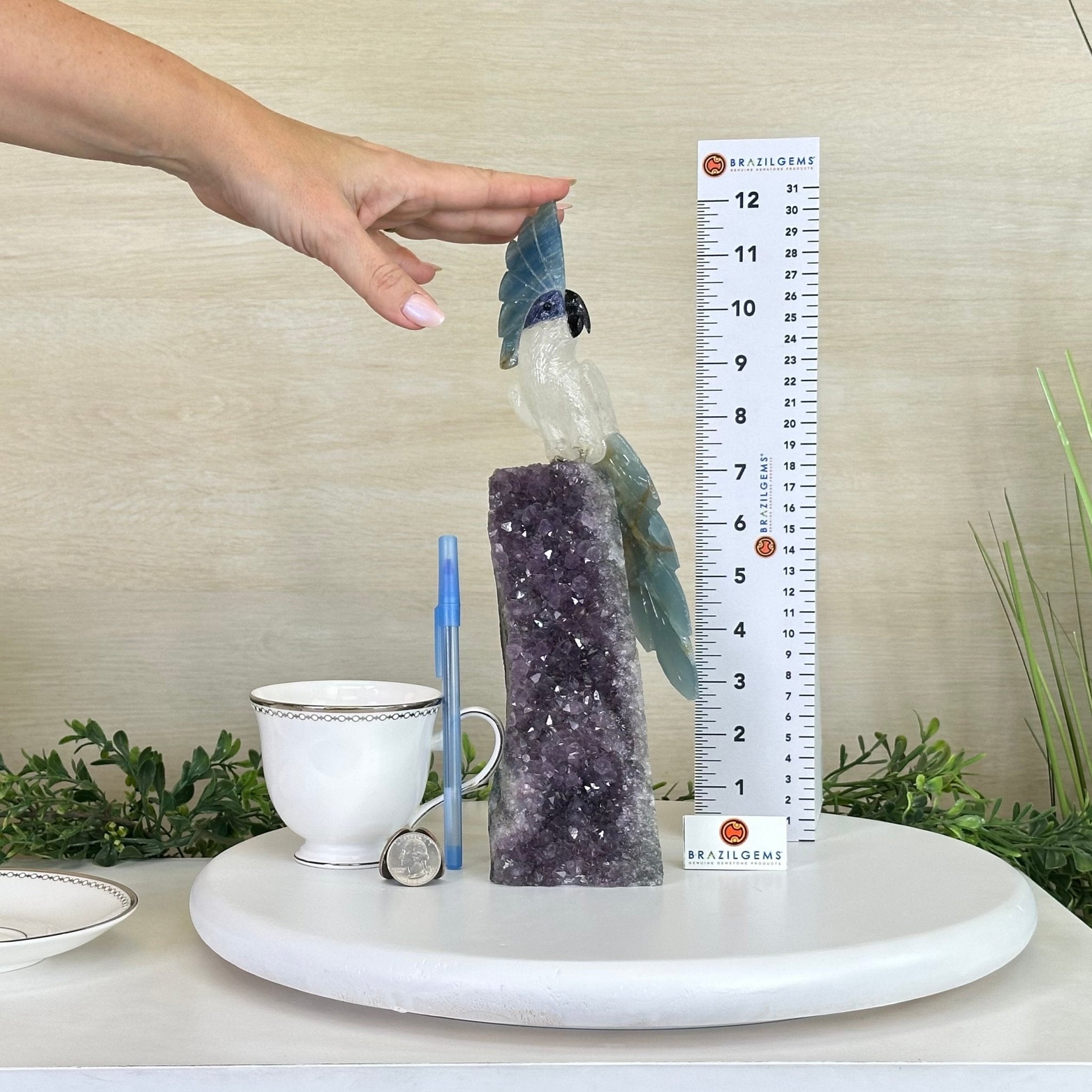 Large Hand - Carved Clear Quartz Cockatoo 9.7" Long on an Amethyst Cluster #3004 - CQCAM - 056 - Brazil GemsBrazil GemsLarge Hand - Carved Clear Quartz Cockatoo 9.7" Long on an Amethyst Cluster #3004 - CQCAM - 056Crystal Birds3004 - CQCAM - 056