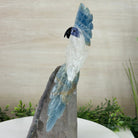 Large Hand - Carved Clear Quartz Cockatoo 9.7" Long on an Amethyst Cluster #3004 - CQCAM - 056 - Brazil GemsBrazil GemsLarge Hand - Carved Clear Quartz Cockatoo 9.7" Long on an Amethyst Cluster #3004 - CQCAM - 056Crystal Birds3004 - CQCAM - 056
