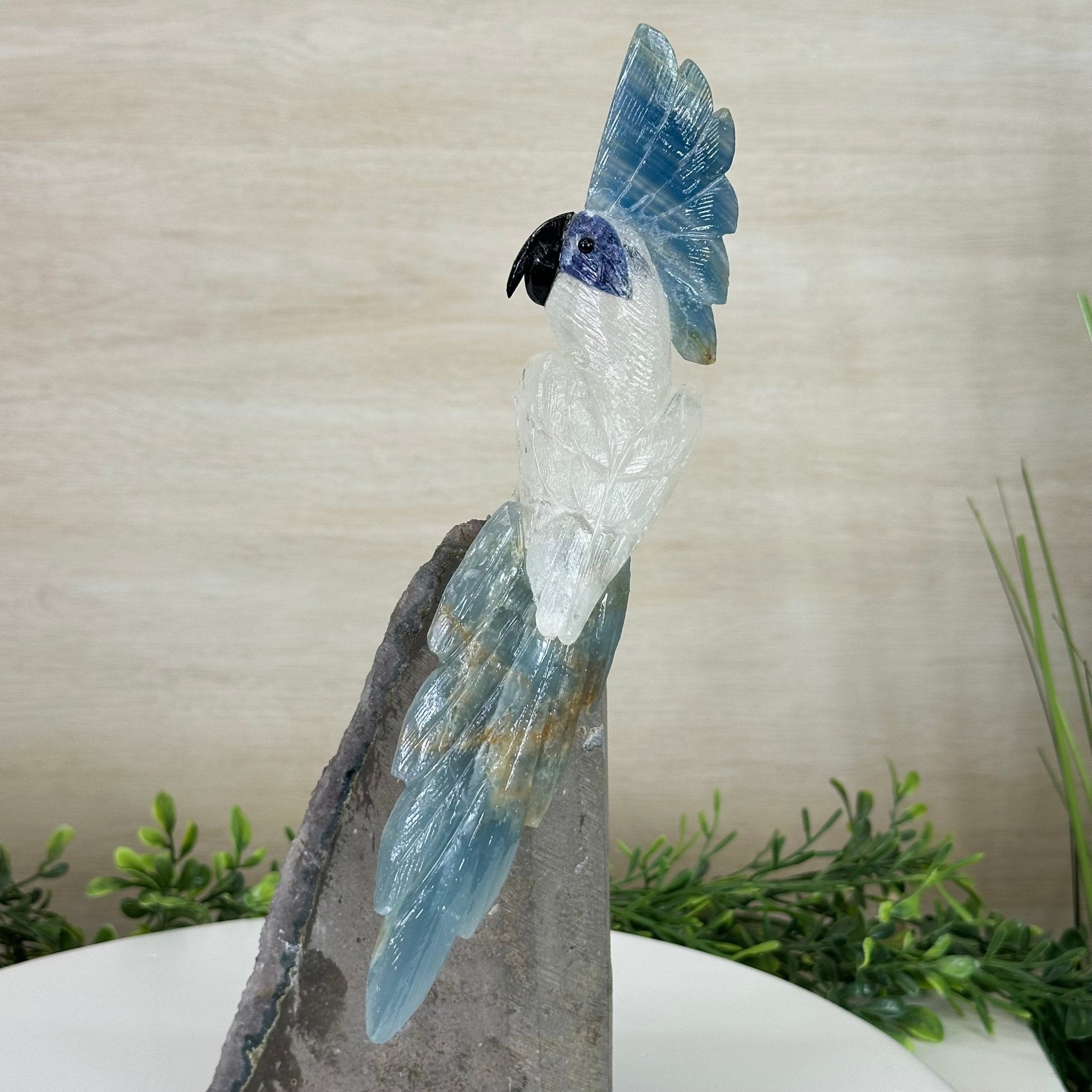 Large Hand - Carved Clear Quartz Cockatoo 9.7" Long on an Amethyst Cluster #3004 - CQCAM - 056 - Brazil GemsBrazil GemsLarge Hand - Carved Clear Quartz Cockatoo 9.7" Long on an Amethyst Cluster #3004 - CQCAM - 056Crystal Birds3004 - CQCAM - 056