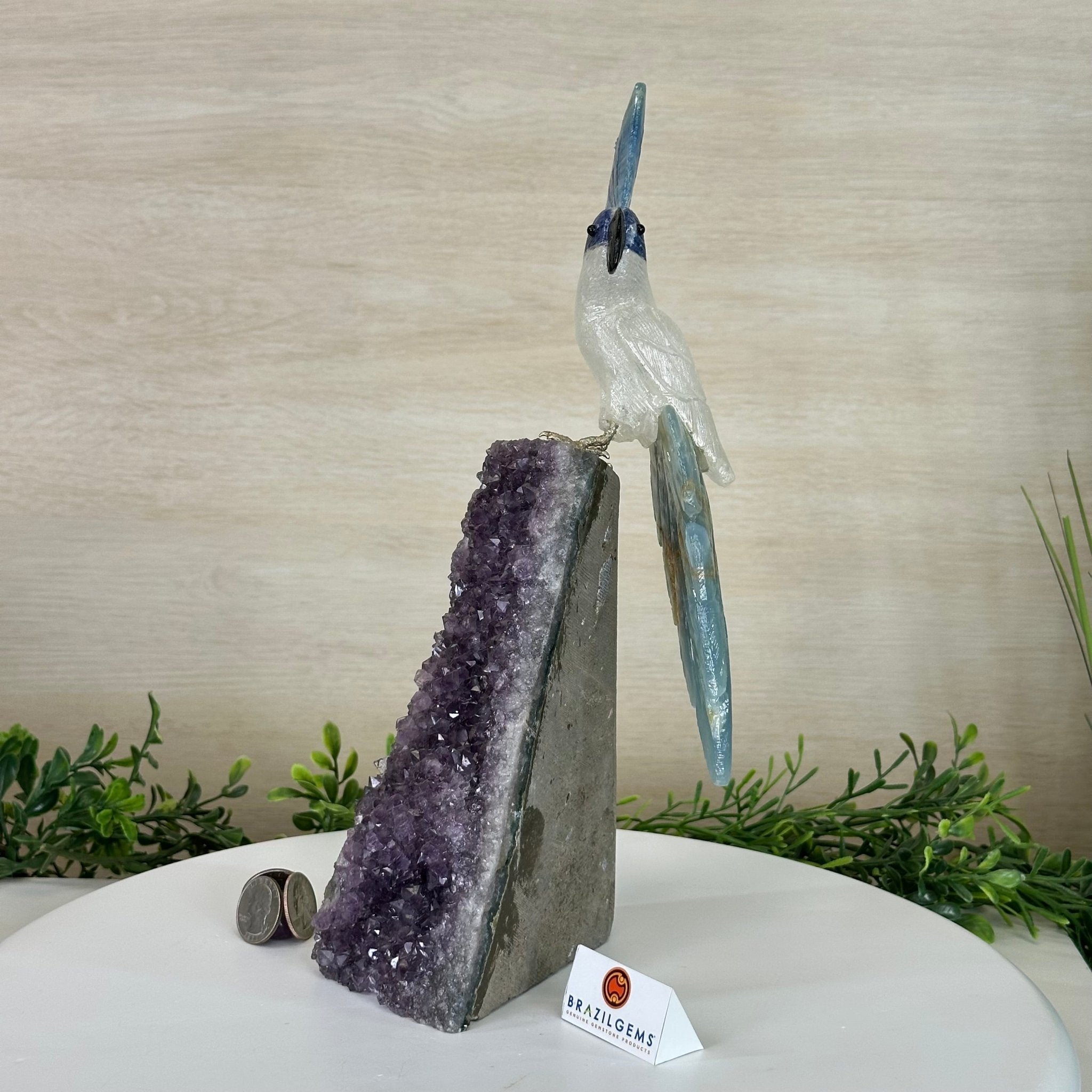 Large Hand - Carved Clear Quartz Cockatoo 9.7" Long on an Amethyst Cluster #3004 - CQCAM - 056 - Brazil GemsBrazil GemsLarge Hand - Carved Clear Quartz Cockatoo 9.7" Long on an Amethyst Cluster #3004 - CQCAM - 056Crystal Birds3004 - CQCAM - 056