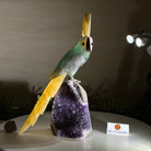 Large Hand - Carved Fluorite Cockatoo 12" Long on an Amethyst Cluster #3005 - FLCAM - 045 - Brazil GemsBrazil GemsLarge Hand - Carved Fluorite Cockatoo 12" Long on an Amethyst Cluster #3005 - FLCAM - 045Crystal Birds3005 - FLCAM - 045