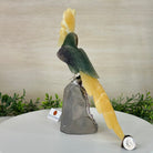 Large Hand - Carved Fluorite Cockatoo 12" Long on an Amethyst Cluster #3005 - FLCAM - 045 - Brazil GemsBrazil GemsLarge Hand - Carved Fluorite Cockatoo 12" Long on an Amethyst Cluster #3005 - FLCAM - 045Crystal Birds3005 - FLCAM - 045