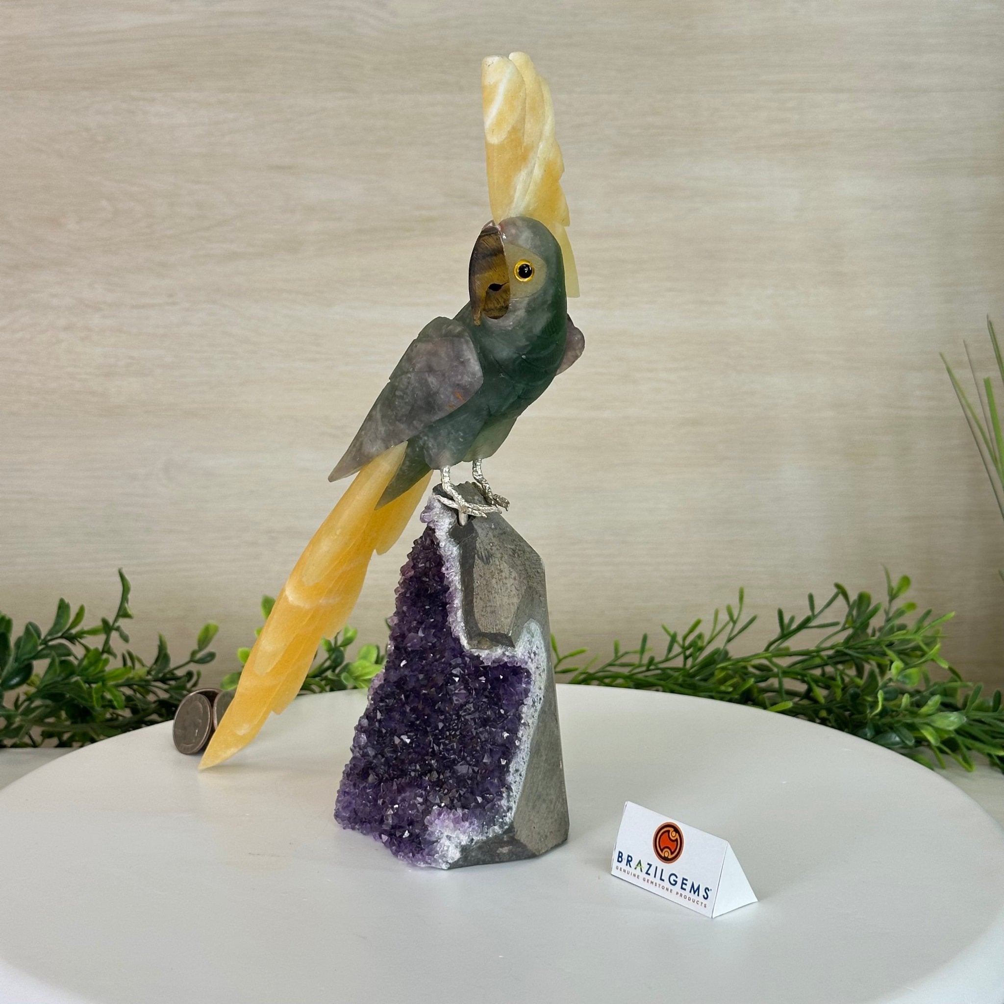 Large Hand - Carved Fluorite Cockatoo 12" Long on an Amethyst Cluster #3005 - FLCAM - 045 - Brazil GemsBrazil GemsLarge Hand - Carved Fluorite Cockatoo 12" Long on an Amethyst Cluster #3005 - FLCAM - 045Crystal Birds3005 - FLCAM - 045