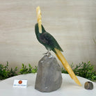 Large Hand - Carved Fluorite Cockatoo 12" Long on an Amethyst Cluster #3005 - FLCAM - 045 - Brazil GemsBrazil GemsLarge Hand - Carved Fluorite Cockatoo 12" Long on an Amethyst Cluster #3005 - FLCAM - 045Crystal Birds3005 - FLCAM - 045