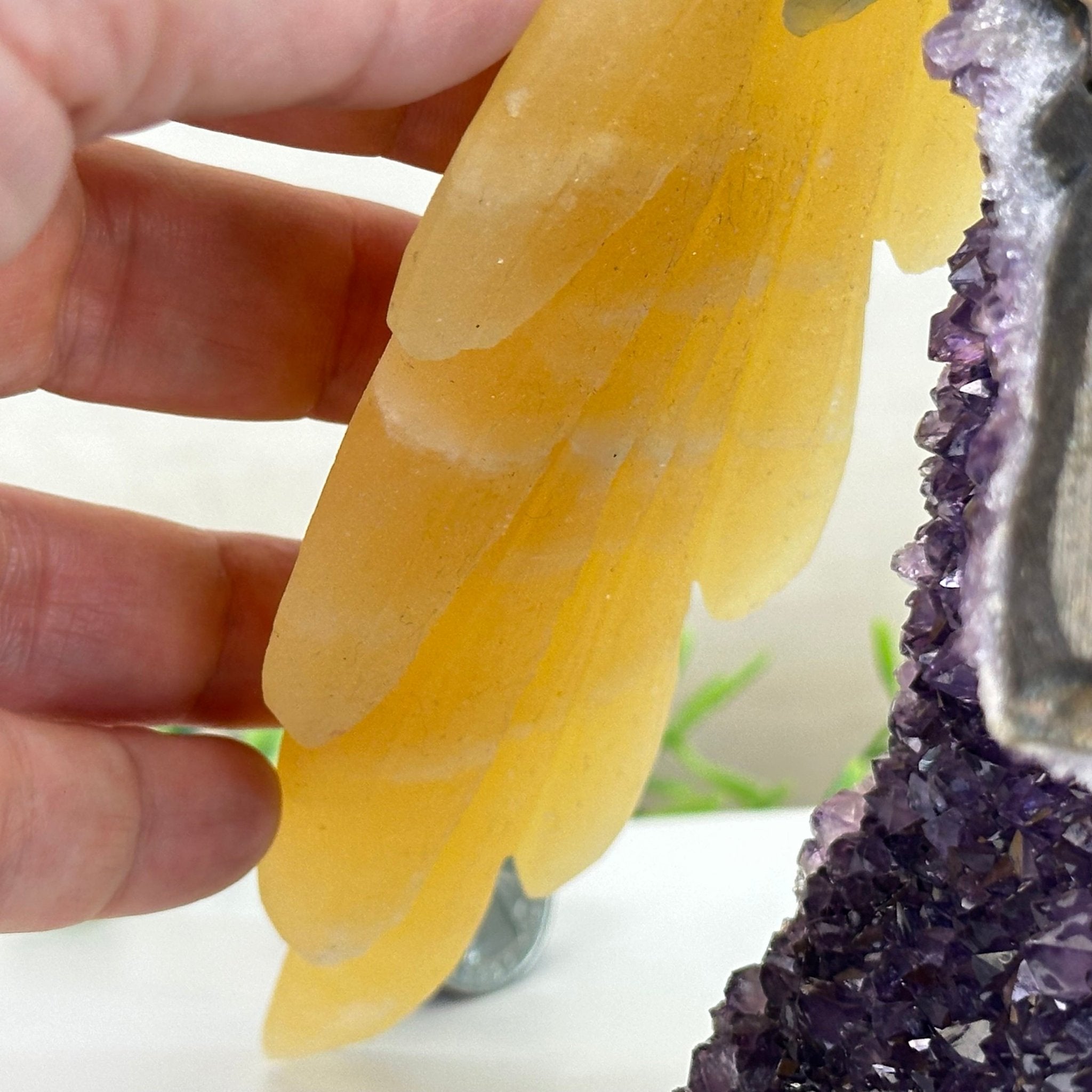 Large Hand - Carved Fluorite Cockatoo 12" Long on an Amethyst Cluster #3005 - FLCAM - 045 - Brazil GemsBrazil GemsLarge Hand - Carved Fluorite Cockatoo 12" Long on an Amethyst Cluster #3005 - FLCAM - 045Crystal Birds3005 - FLCAM - 045