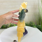 Large Hand - Carved Fluorite Cockatoo 12" Long on an Amethyst Cluster #3005 - FLCAM - 045 - Brazil GemsBrazil GemsLarge Hand - Carved Fluorite Cockatoo 12" Long on an Amethyst Cluster #3005 - FLCAM - 045Crystal Birds3005 - FLCAM - 045