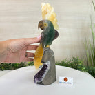 Large Hand - Carved Fluorite Cockatoo 12" Long on an Amethyst Cluster #3005 - FLCAM - 045 - Brazil GemsBrazil GemsLarge Hand - Carved Fluorite Cockatoo 12" Long on an Amethyst Cluster #3005 - FLCAM - 045Crystal Birds3005 - FLCAM - 045