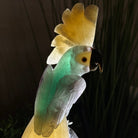 Large Hand - Carved Fluorite Cockatoo 12" Long on an Amethyst Cluster #3005 - FLCAM - 045 - Brazil GemsBrazil GemsLarge Hand - Carved Fluorite Cockatoo 12" Long on an Amethyst Cluster #3005 - FLCAM - 045Crystal Birds3005 - FLCAM - 045