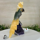 Large Hand - Carved Fluorite Cockatoo 12" Long on an Amethyst Cluster #3005 - FLCAM - 045 - Brazil GemsBrazil GemsLarge Hand - Carved Fluorite Cockatoo 12" Long on an Amethyst Cluster #3005 - FLCAM - 045Crystal Birds3005 - FLCAM - 045