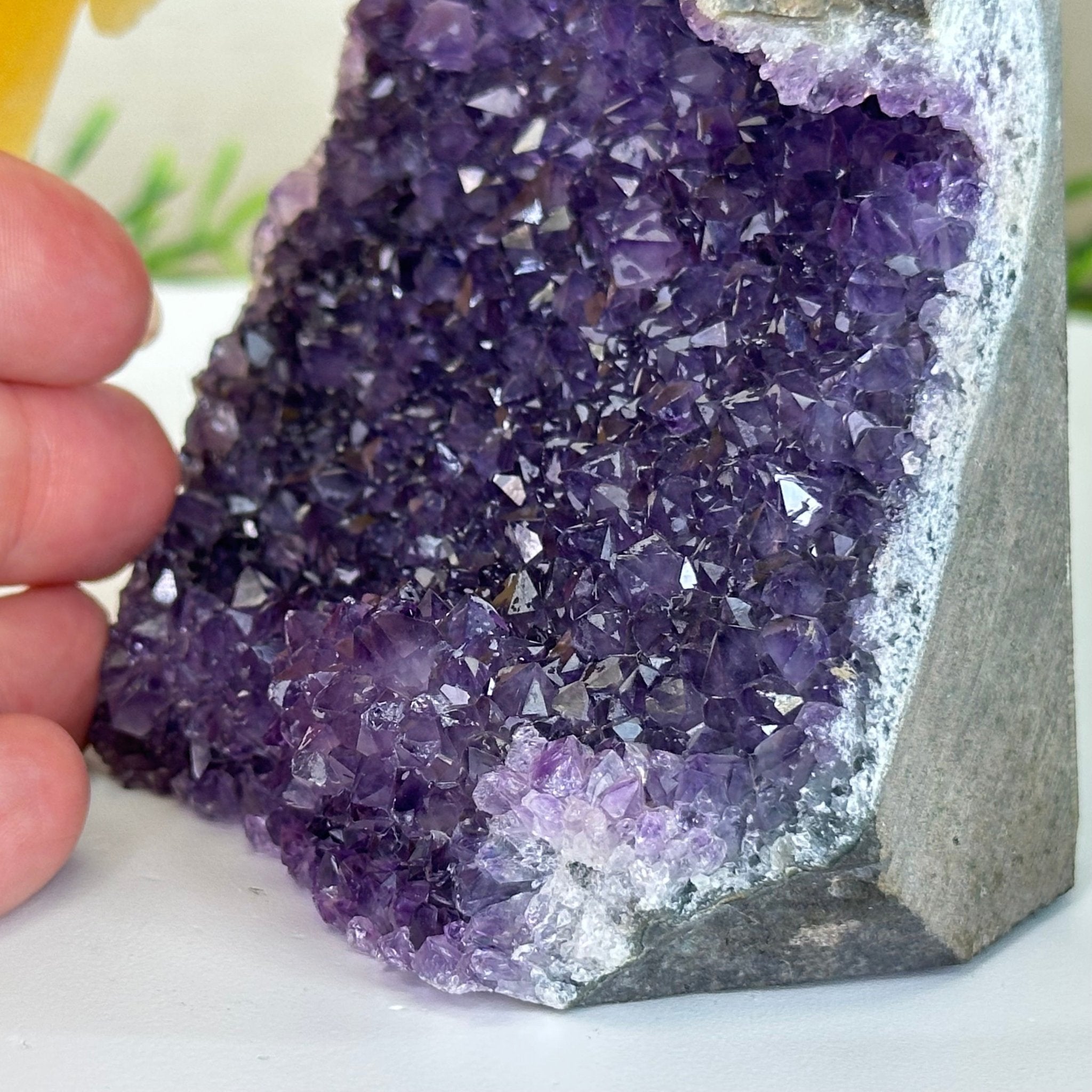 Large Hand - Carved Fluorite Cockatoo 12" Long on an Amethyst Cluster #3005 - FLCAM - 045 - Brazil GemsBrazil GemsLarge Hand - Carved Fluorite Cockatoo 12" Long on an Amethyst Cluster #3005 - FLCAM - 045Crystal Birds3005 - FLCAM - 045