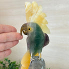 Large Hand - Carved Fluorite Cockatoo 12" Long on an Amethyst Cluster #3005 - FLCAM - 045 - Brazil GemsBrazil GemsLarge Hand - Carved Fluorite Cockatoo 12" Long on an Amethyst Cluster #3005 - FLCAM - 045Crystal Birds3005 - FLCAM - 045