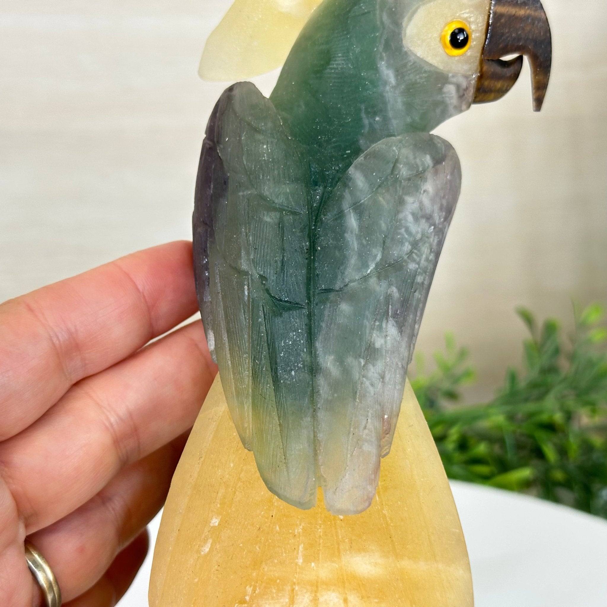 Large Hand - Carved Fluorite Cockatoo 12" Long on an Amethyst Cluster #3005 - FLCAM - 045 - Brazil GemsBrazil GemsLarge Hand - Carved Fluorite Cockatoo 12" Long on an Amethyst Cluster #3005 - FLCAM - 045Crystal Birds3005 - FLCAM - 045