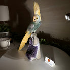 Large Hand - Carved Fluorite Cockatoo 12" Long on an Amethyst Cluster #3005 - FLCAM - 045 - Brazil GemsBrazil GemsLarge Hand - Carved Fluorite Cockatoo 12" Long on an Amethyst Cluster #3005 - FLCAM - 045Crystal Birds3005 - FLCAM - 045