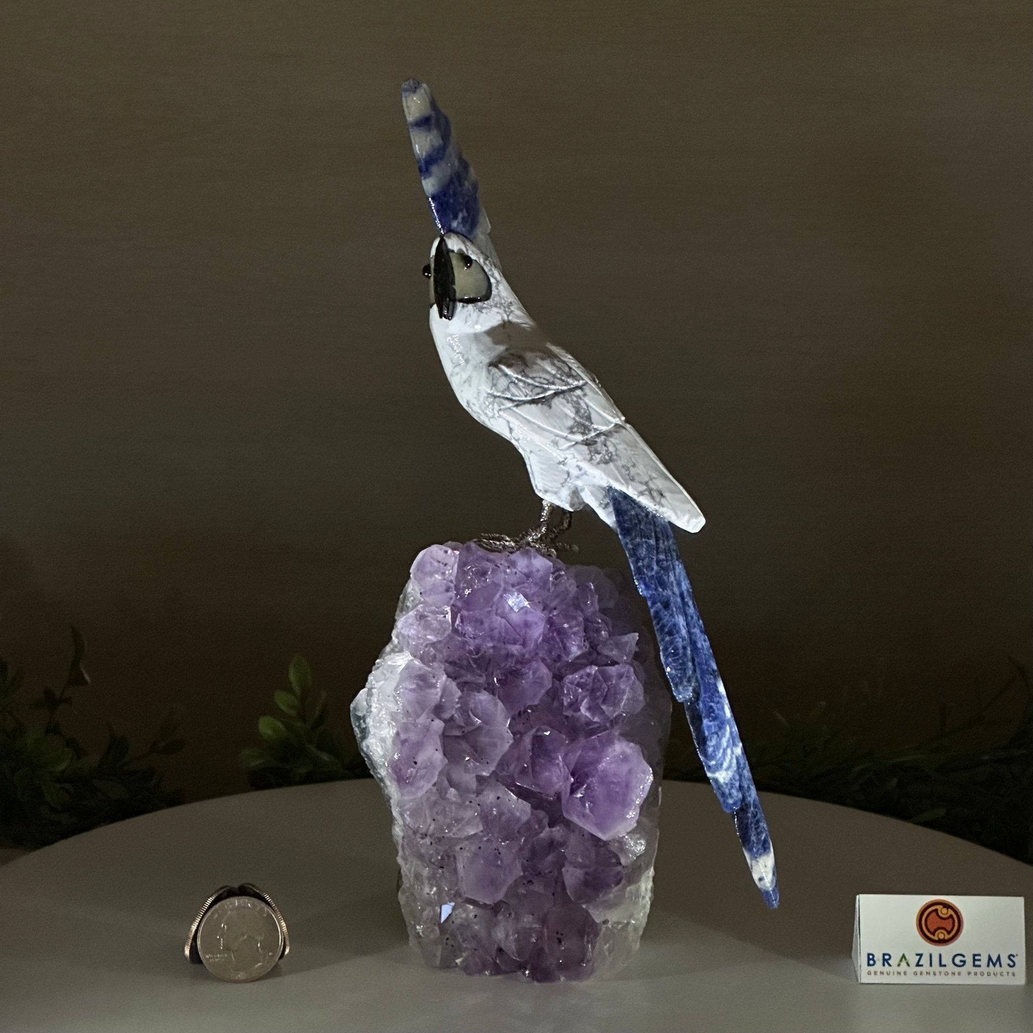 Large Hand - Carved Howlite Cockatoo 10" Long on an Amethyst Cluster #3004 - HWCAM - 057 - Brazil GemsBrazil GemsLarge Hand - Carved Howlite Cockatoo 10" Long on an Amethyst Cluster #3004 - HWCAM - 057Crystal Birds3004 - HWCAM - 057