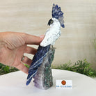 Large Hand - Carved Howlite Cockatoo 10" Long on an Amethyst Cluster #3004 - HWCAM - 057 - Brazil GemsBrazil GemsLarge Hand - Carved Howlite Cockatoo 10" Long on an Amethyst Cluster #3004 - HWCAM - 057Crystal Birds3004 - HWCAM - 057